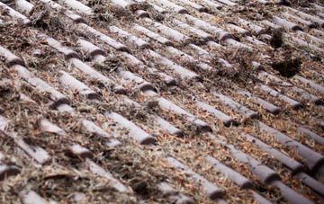 Woodgreen roof cleaning companies