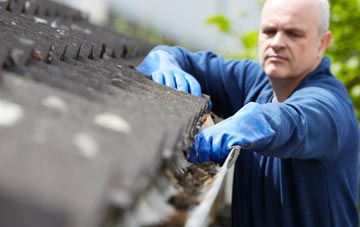 cleaning and inspecting Woodgreen roofs