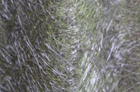 Woodgreen fibreglass roof work